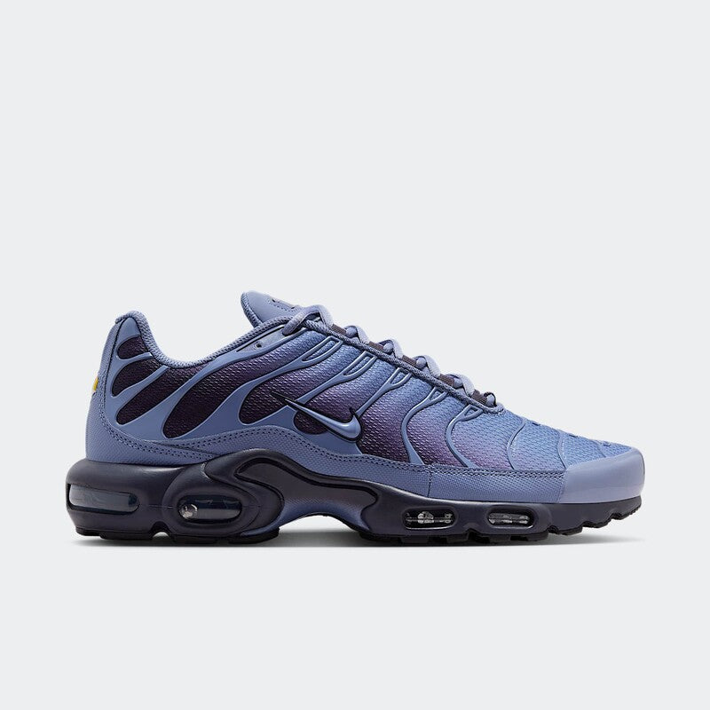 Nike Air Max Plus "World Indigo"