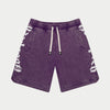 CourtSide Shorts (Grape Wash) - GSCSSGRPWSH