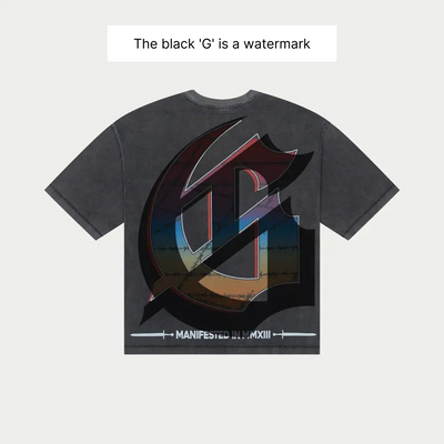 Godspeed Ollie T-Shirt (Grey Wash) - GSOLEGRWS
